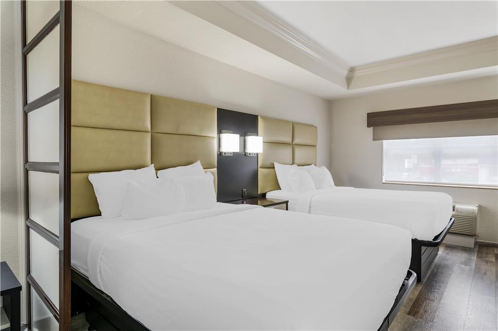 Best Western Plus Jfk Inn & Suites North Little Rock Quarto foto